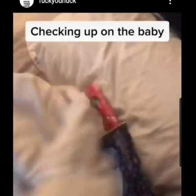 The perfect smoothie