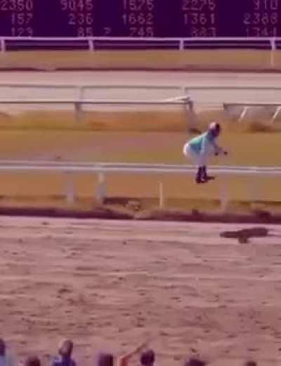 Horse racing without the horses