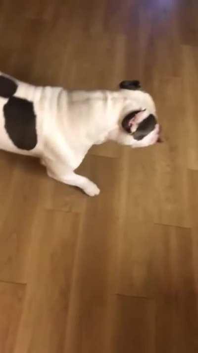 Pits are honestly the best