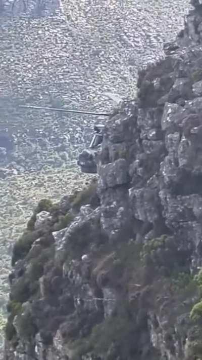 Found this Lynx while hiking up Table Mountain in South Africa with my mates. Just so you know, this was the first time I've seen a helicopter up close so excuse how amazed I am.