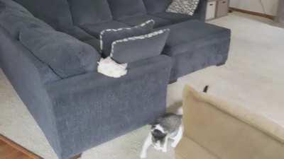 The tables have turned