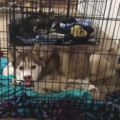 My sister said I needed to post my Moon Moon.