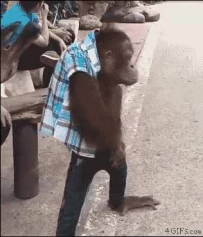 He gangsta. Don't make trouble in his neighborhood