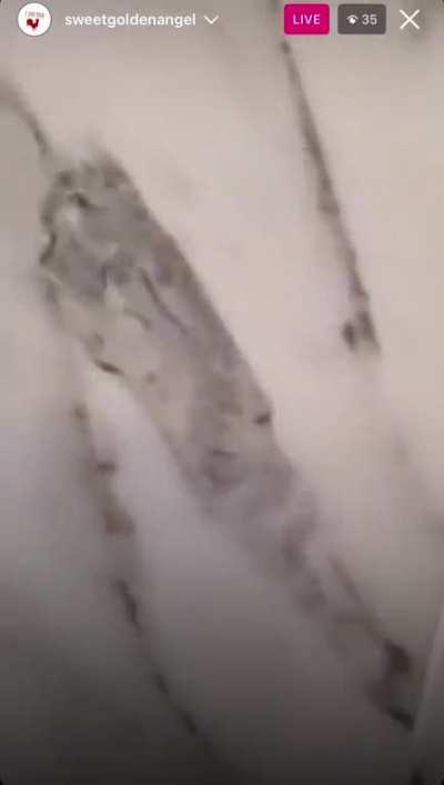 Yesterday short nun much happened 