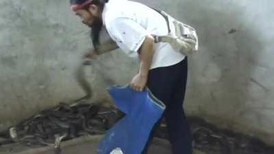 Snake messed with the wrong charmer