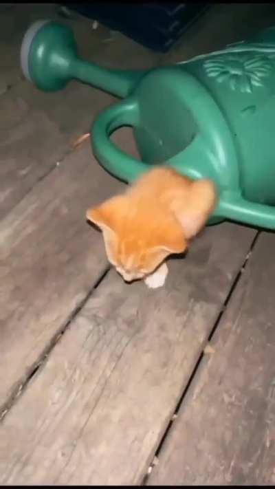 How does he fit in there?