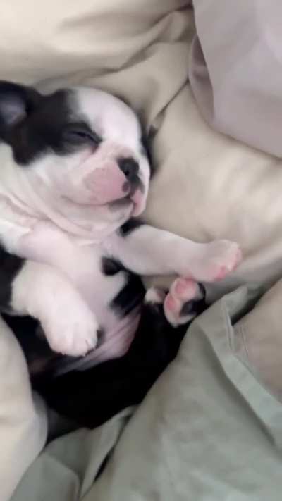 Stress free claw trims 🙂