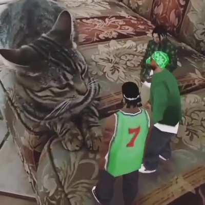 Groove Street and cat