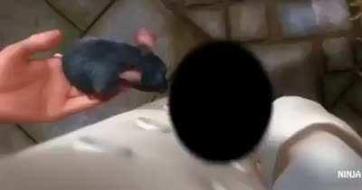 Esse adm e suas prezepadas