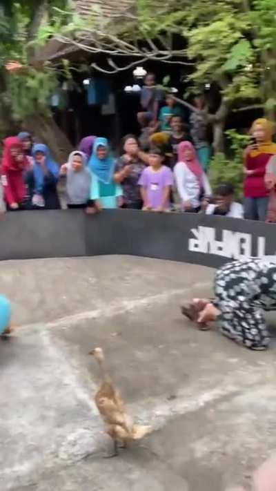 Me and my squad trying to find the last enemy in a squad after killing 3