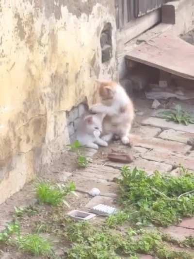 Come on out, you're safe now.