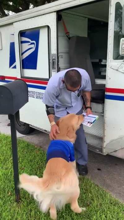 The excitement of the dog when the mailman arrives