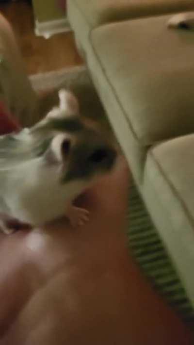 Final myszka post: #52. Most likely maxleveling tonight bajs, don't be like me, I love you all, goodbye.