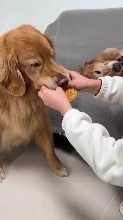 OMG such a premeditated act of evil!