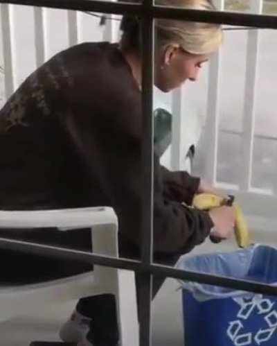 Attempting to enjoy a human snack