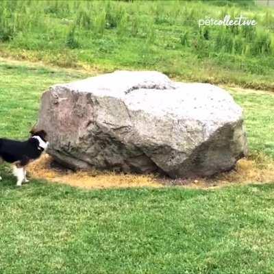 Looping the killer around the shack be like