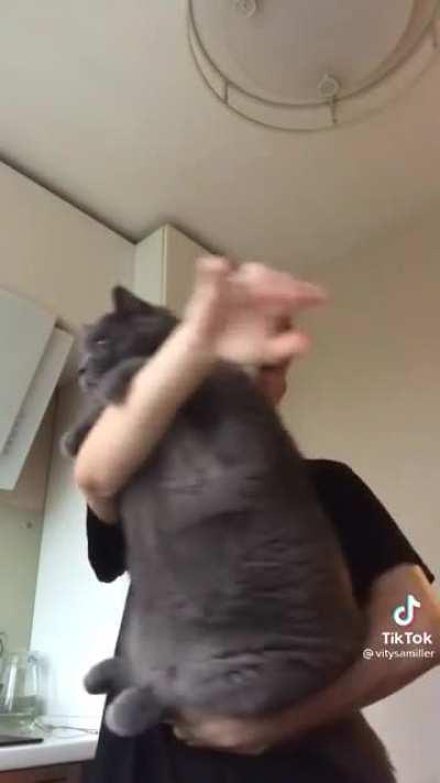 One Chonker to Make Your Day Better