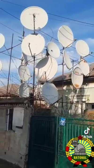 Vecinu ala care prinde si ungurii si bulgarii