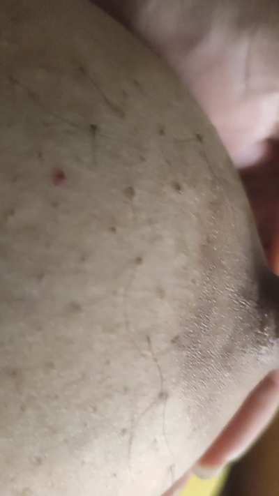 Here's to a long time of fun, and so we start the week happily 