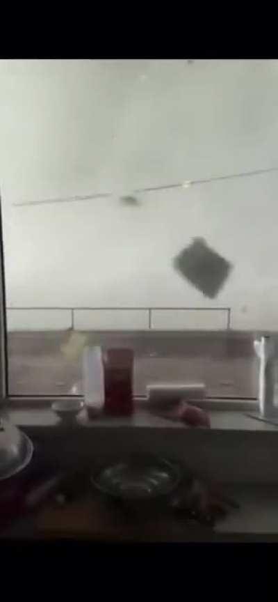 А сейчас дорогие телезрители, мы с Вами станем свидетелями естественного отбора.