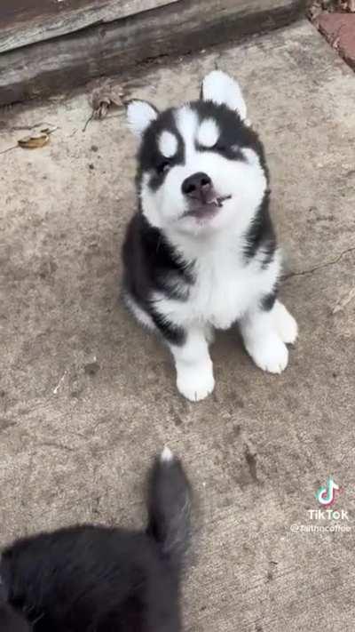 Little guy makes it clear he doesn’t want to go potty