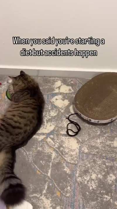 Cat: Snackcident, purromise!