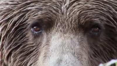 my conclusion after reading years worth of redscarepod user posts and comments