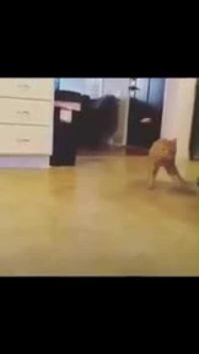 sabog nako (pa upvote)