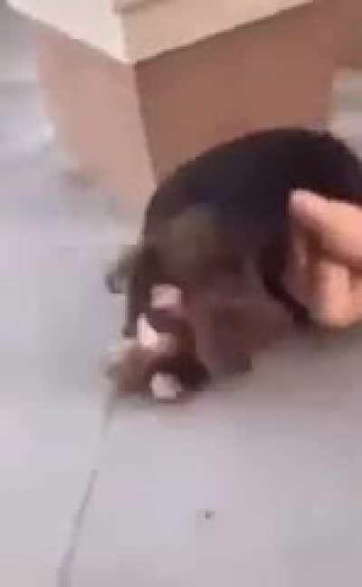 Is that a new trend to freak out like this?