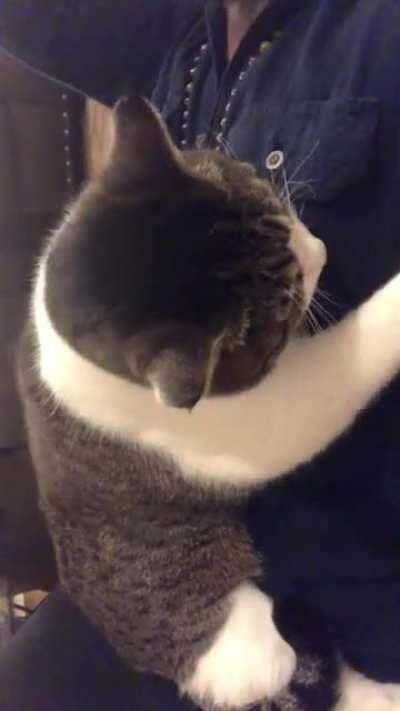 Diesel Making all the Biscuits