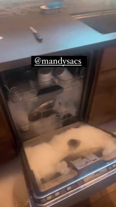 Mandy Rose's kitchen is flooded