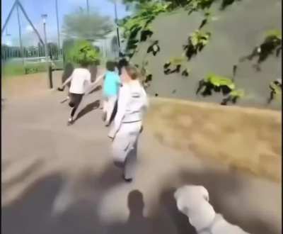 Hes a good boy I promise