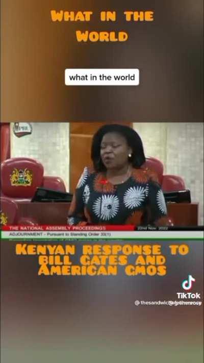 Bill Gates is the Biggest private owner of farmland in the USA, only for him to grow and sell fake food to Africa.....I think not