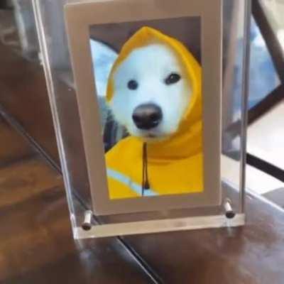 Smile, it can't possibly be all bad...