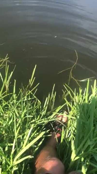 Another beautiful day in Florida