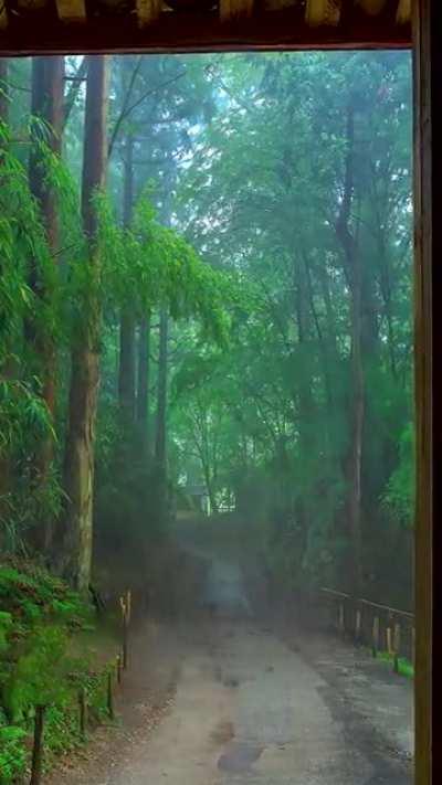 Enjoy the nature with rain