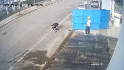 The gate liked his ass very much