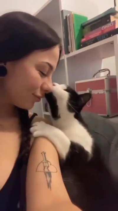 I want a cat that affectionate, I would hold and cuddle her all the time