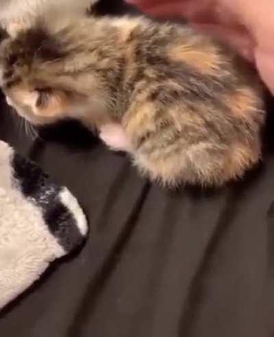 look what you fucking did