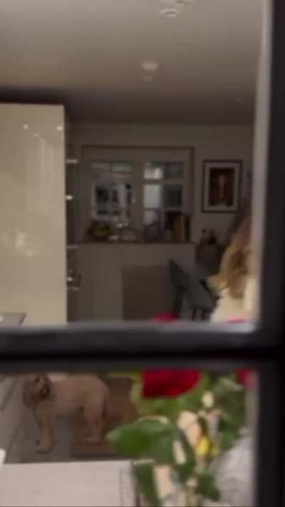 All clips of Kelly from her latest insta post  a 29/10/24