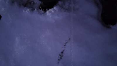 On the way home, had to pull over