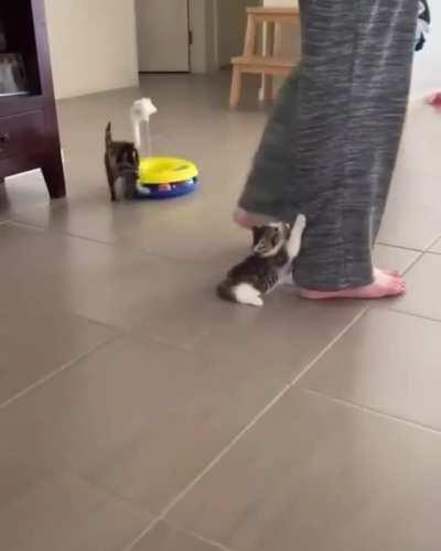 Caught in the middle of an assault.