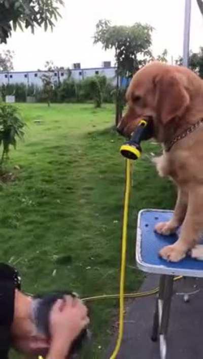 А вы спрашиваете при чём здесь Панин