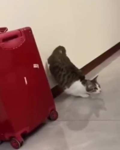 На старт! Внимание! (звук)