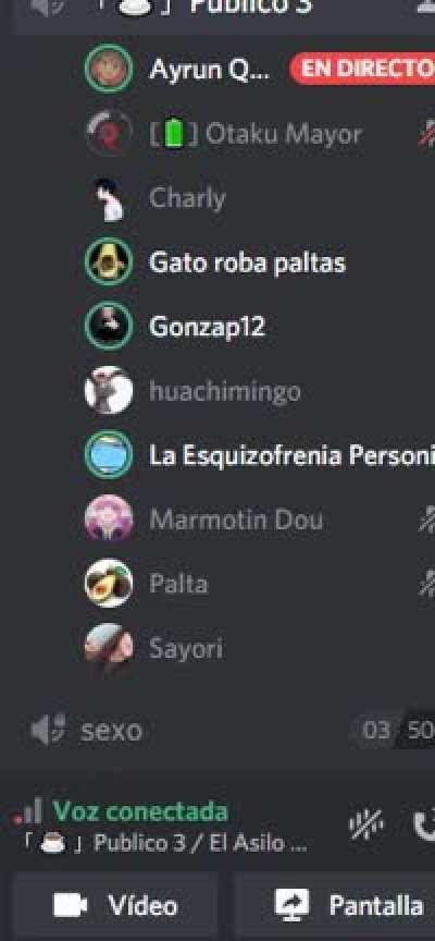 Esquizofrenico vs Chilenos