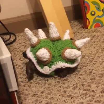 Bowser - kidnapper of princesses, bane of plumbers