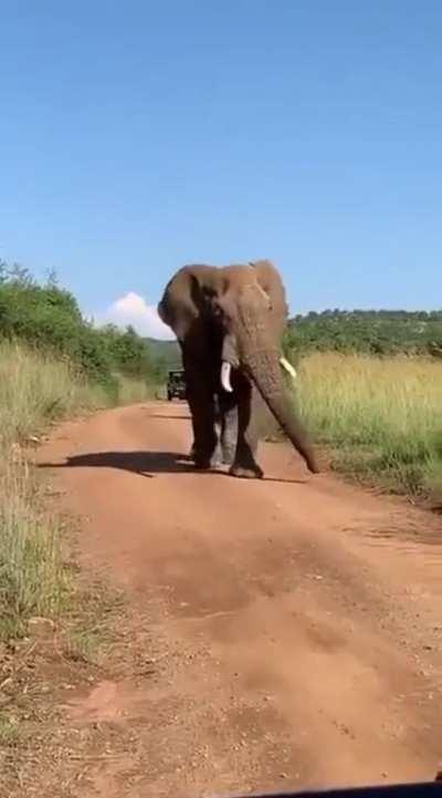 Walking into FRIDAY!