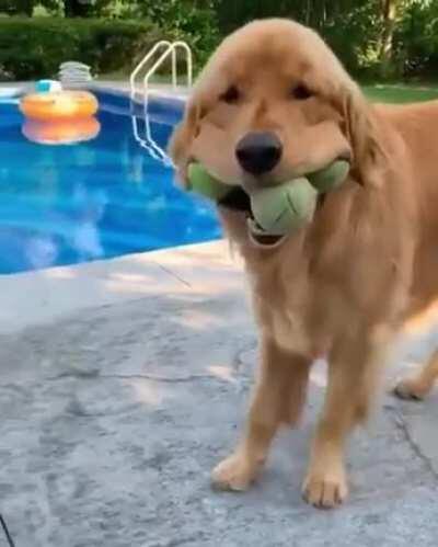 How many balls is it possible fit in your mouth?