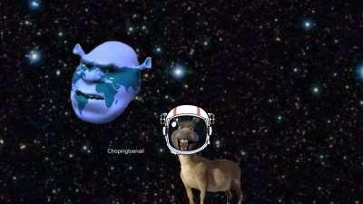 Wait, it was all Shrek?