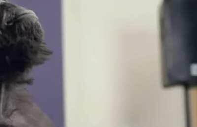 Waiting For The Margin Call....🚀🚀🚀